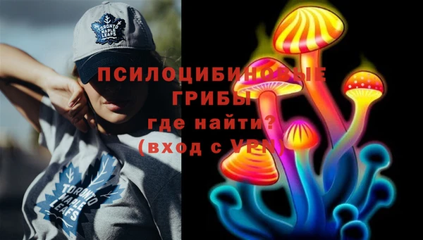 герыч Дмитриев