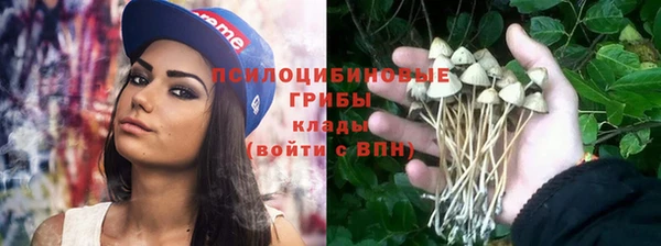марки nbome Дмитровск