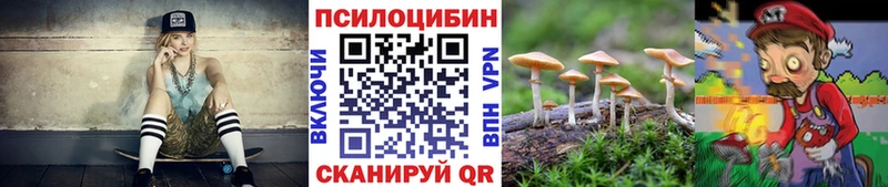 kraken tor  Нижние Серги  Псилоцибиновые грибы Psilocybe  что такое  